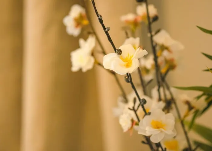 Raleigh 2 Bedroom Flat *