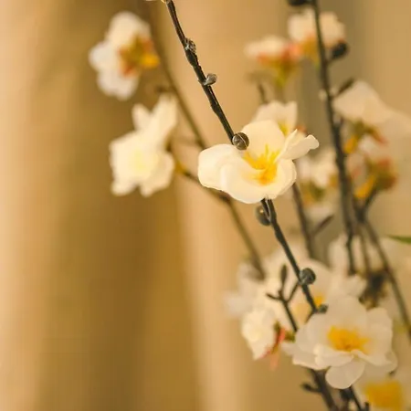 Raleigh 2 Bedroom Flat *